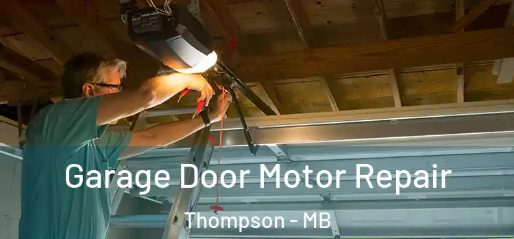  Garage Door Motor Repair Thompson - MB