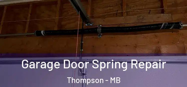  Garage Door Spring Repair Thompson - MB