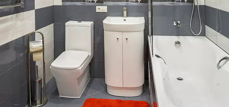Hansgrohe Shaving Mirror Thompson